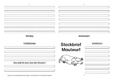 Maulwurf-Faltbuch-vierseitig-2.pdf